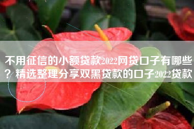 不用征信的小额贷款2022网贷口子有哪些？精选整理分享双黑贷款的口子2022贷款