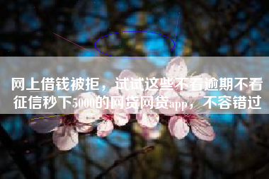 网上借钱被拒，试试这些不看逾期不看征信秒下5000的网贷网贷app，不容错过