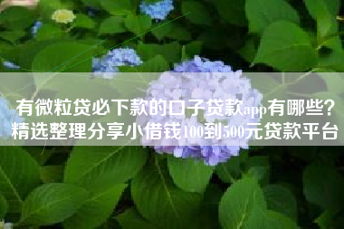 有微粒贷必下款的口子贷款app有哪些？精选整理分享小借钱100到500元贷款平台