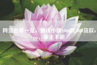 网贷名单一览，借钱小额1000到3000贷款app，拿走不谢