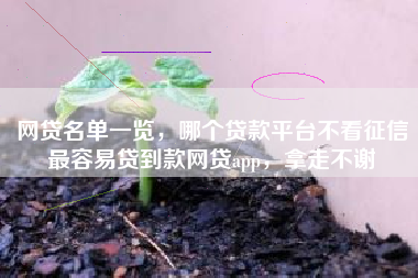 网贷名单一览，哪个贷款平台不看征信最容易贷到款网贷app，拿走不谢