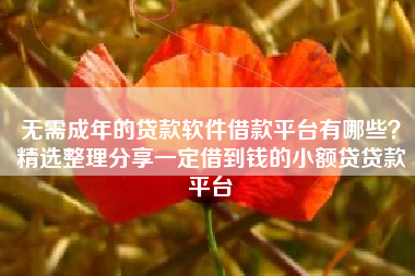 无需成年的贷款软件借款平台有哪些？精选整理分享一定借到钱的小额贷贷款平台
