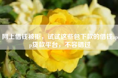 网上借钱被拒，试试这些包下款的借钱app贷款平台，不容错过