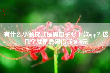 有什么小额贷款是黑口子必下款app？这几个就是急需借钱3000元
