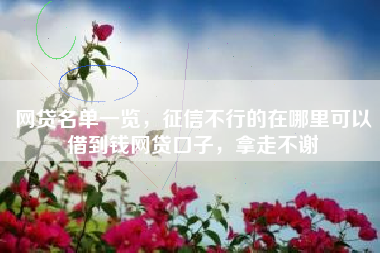 网贷名单一览，征信不行的在哪里可以借到钱网贷口子，拿走不谢
