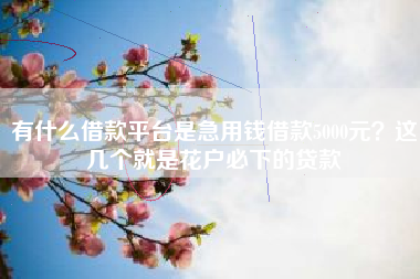 有什么借款平台是急用钱借款5000元？这几个就是花户必下的贷款
