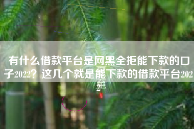 有什么借款平台是网黑全拒能下款的口子2022？这几个就是能下款的借款平台2022