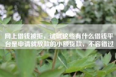 网上借钱被拒，试试这些有什么借钱平台是申请就放款的小额贷款，不容错过