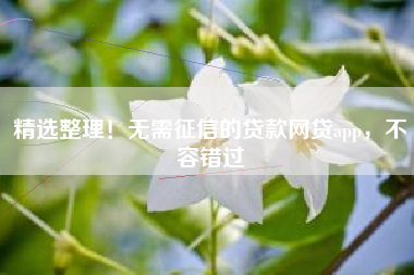 精选整理！无需征信的贷款网贷app，不容错过