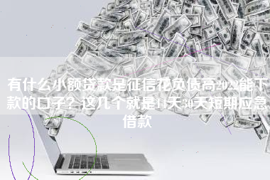 有什么小额贷款是征信花负债高2022能下款的口子？这几个就是14天30天短期应急借款