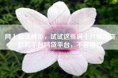网上借钱被拒，试试这些满十八就能贷款的平台网贷平台，不容错过