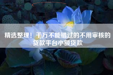 精选整理！千万不能错过的不用审核的贷款平台小额贷款