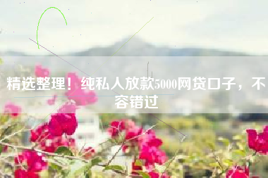 精选整理！纯私人放款5000网贷口子，不容错过