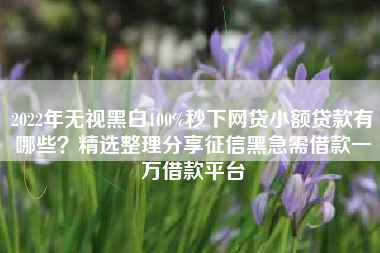 2022年无视黑白100%秒下网贷小额贷款有哪些？精选整理分享征信黑急需借款一万借款平台