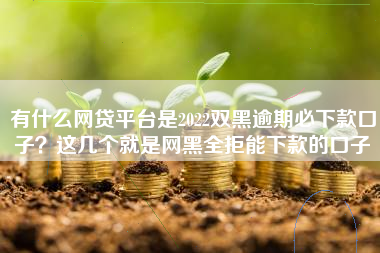 有什么网贷平台是2022双黑逾期必下款口子？这几个就是网黑全拒能下款的口子