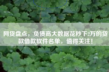 网贷盘点，负债高大数据花秒下2万的贷款借款软件名单，值得关注！