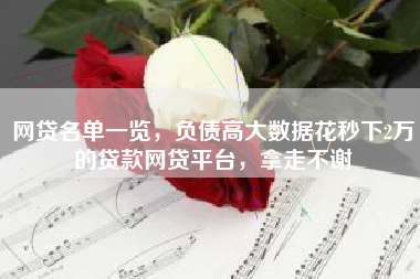 网贷名单一览，负债高大数据花秒下2万的贷款网贷平台，拿走不谢