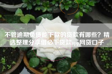 不管逾期负债能下款的贷款有哪些？精选整理分享借必下贷款app网贷口子