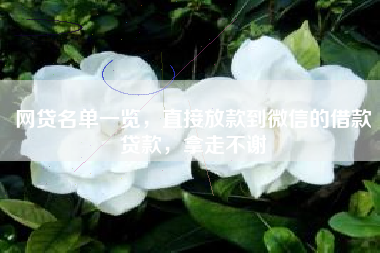 网贷名单一览，直接放款到微信的借款贷款，拿走不谢