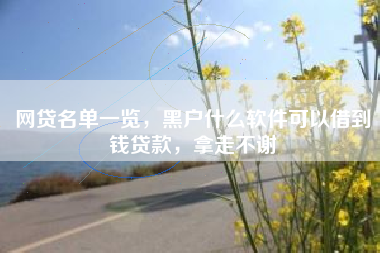 网贷名单一览，黑户什么软件可以借到钱贷款，拿走不谢