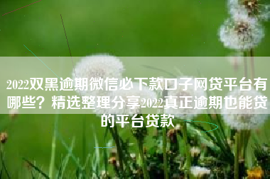 2022双黑逾期微信必下款口子网贷平台有哪些？精选整理分享2022真正逾期也能贷的平台贷款