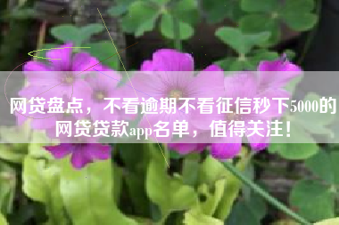 网贷盘点，不看逾期不看征信秒下5000的网贷贷款app名单，值得关注！