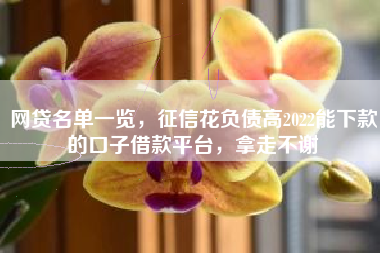 网贷名单一览，征信花负债高2022能下款的口子借款平台，拿走不谢