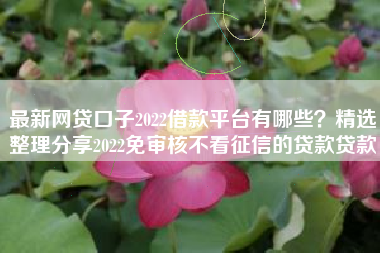 最新网贷口子2022借款平台有哪些？精选整理分享2022免审核不看征信的贷款贷款