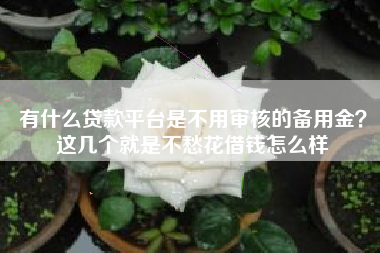 有什么贷款平台是不用审核的备用金？这几个就是不愁花借钱怎么样