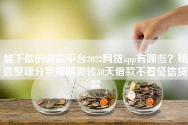 能下款的借款平台2022网贷app有哪些？精选整理分享短期周转30天借款不看征信贷款
