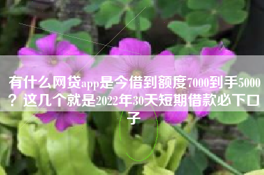 有什么网贷app是今借到额度7000到手5000？这几个就是2022年30天短期借款必下口子