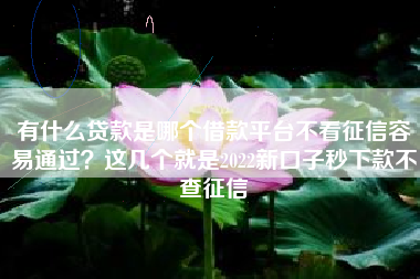 有什么贷款是哪个借款平台不看征信容易通过？这几个就是2022新口子秒下款不查征信