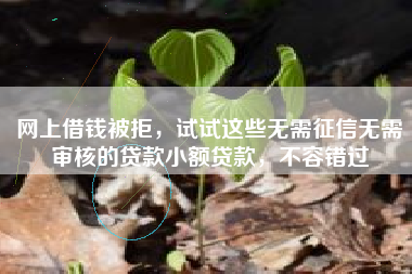 网上借钱被拒，试试这些无需征信无需审核的贷款小额贷款，不容错过