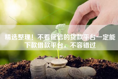 精选整理！不看征信的贷款平台一定能下款借款平台，不容错过