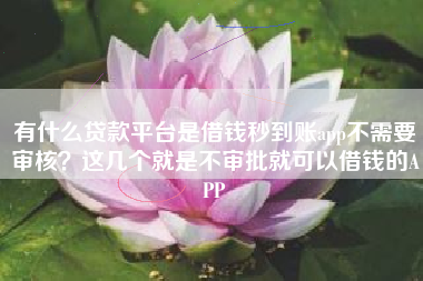 有什么贷款平台是借钱秒到账app不需要审核？这几个就是不审批就可以借钱的APP