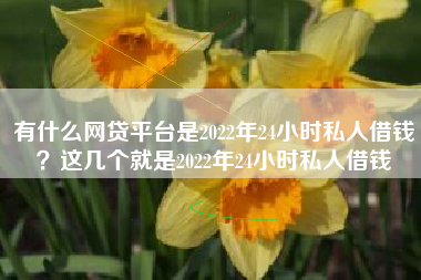 有什么网贷平台是2022年24小时私人借钱？这几个就是2022年24小时私人借钱