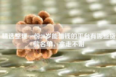 精选整理一份20岁能借钱的平台有哪些贷款名单，拿走不谢