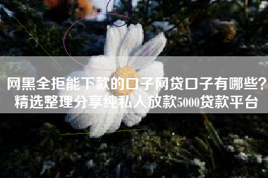 网黑全拒能下款的口子网贷口子有哪些？精选整理分享纯私人放款5000贷款平台