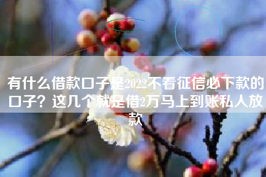 有什么借款口子是2022不看征信必下款的口子？这几个就是借2万马上到账私人放款