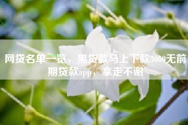 网贷名单一览，黑贷款马上下款3000无前期贷款app，拿走不谢