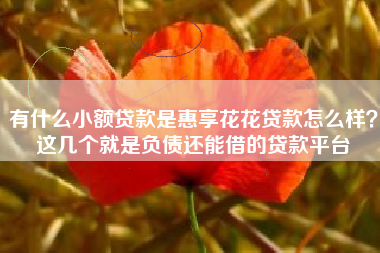 有什么小额贷款是惠享花花贷款怎么样？这几个就是负债还能借的贷款平台