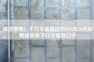 精选整理！千万不能错过的2022年30天短期借款必下口子借款口子