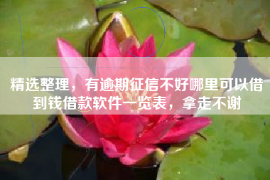 精选整理，有逾期征信不好哪里可以借到钱借款软件一览表，拿走不谢
