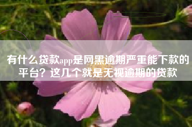 有什么贷款app是网黑逾期严重能下款的平台？这几个就是无视逾期的贷款