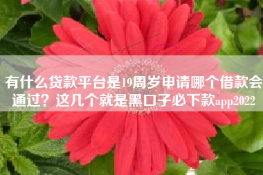 有什么贷款平台是19周岁申请哪个借款会通过？这几个就是黑口子必下款app2022