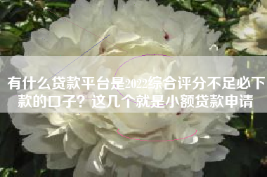 有什么贷款平台是2022综合评分不足必下款的口子？这几个就是小额贷款申请