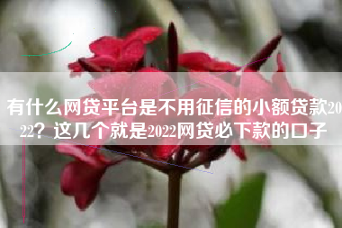 有什么网贷平台是不用征信的小额贷款2022？这几个就是2022网贷必下款的口子