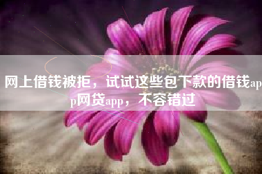 网上借钱被拒，试试这些包下款的借钱app网贷app，不容错过