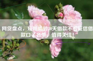 网贷盘点，短期周转30天借款不看征信借款口子名单，值得关注！