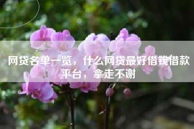 网贷名单一览，什么网贷最好借钱借款平台，拿走不谢